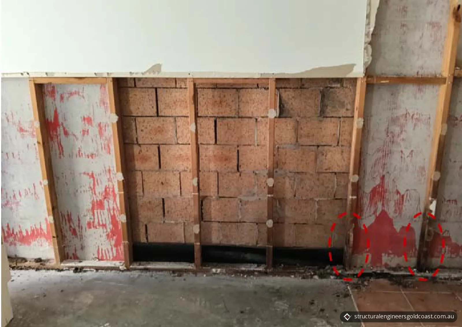 Timber studs against a masonry wall, with two stud bases circled in red dashes where they meet the floor